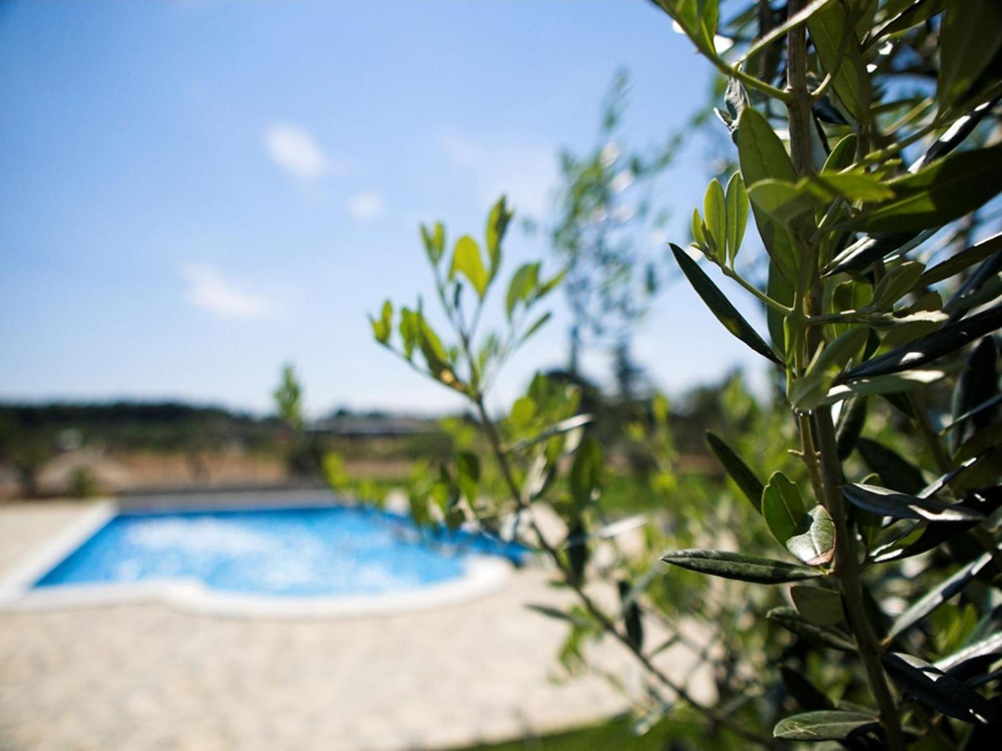 Marceta - Apartments & Rooms With Swimming Pool Fažana Exterior foto